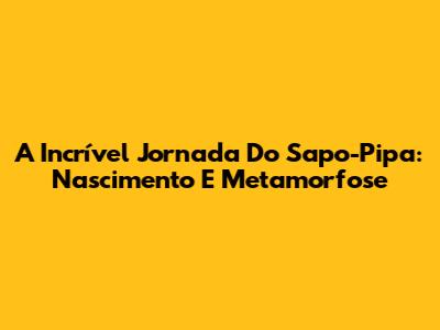 A Incrível Jornada Do Sapo-Pipa: Nascimento E Metamorfose