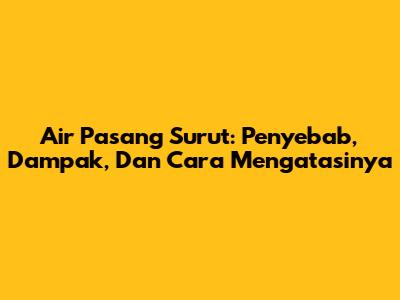 Air Pasang Surut: Penyebab, Dampak, Dan Cara Mengatasinya