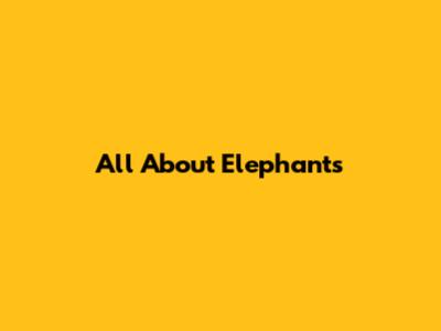 All About Elephants