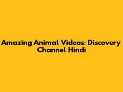 Amazing Animal Videos: Discovery Channel Hindi