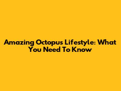 Amazing Octopus Lifestyle: What You Need To Know