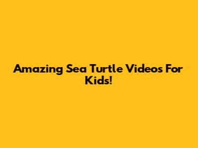 Amazing Sea Turtle Videos For Kids!
