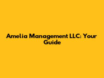Amelia Management LLC: Your Guide