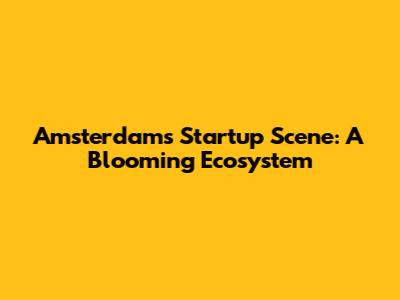 Amsterdam's Startup Scene: A Blooming Ecosystem