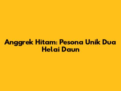 Anggrek Hitam: Pesona Unik Dua Helai Daun
