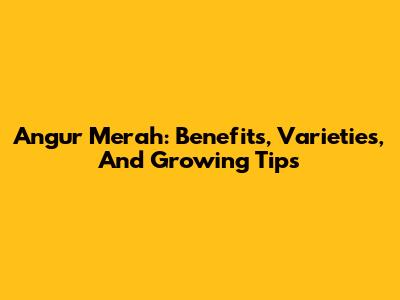 Angur Merah: Benefits, Varieties, And Growing Tips