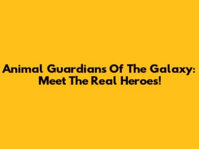 Animal Guardians Of The Galaxy: Meet The Real Heroes!