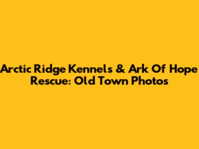 Arctic Ridge Kennels & Ark Of Hope Rescue: Old Town Photos