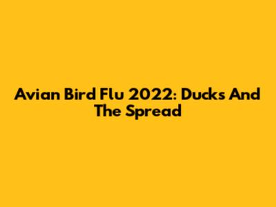 Avian Bird Flu 2022: Ducks And The Spread