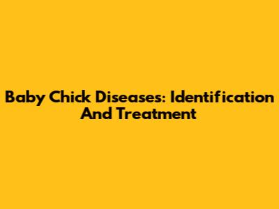 Baby Chick Diseases: Identification And Treatment