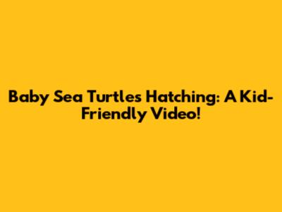 Baby Sea Turtles Hatching: A Kid-Friendly Video!