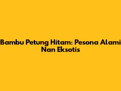 Bambu Petung Hitam: Pesona Alami Nan Eksotis