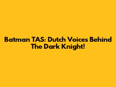 Batman TAS: Dutch Voices Behind The Dark Knight!