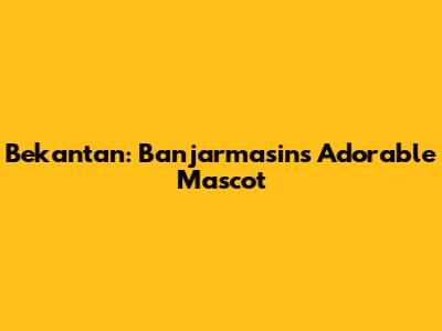 Bekantan: Banjarmasin's Adorable Mascot