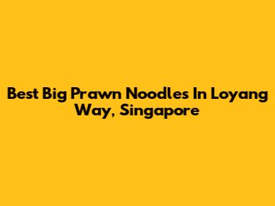 Best Big Prawn Noodles In Loyang Way, Singapore