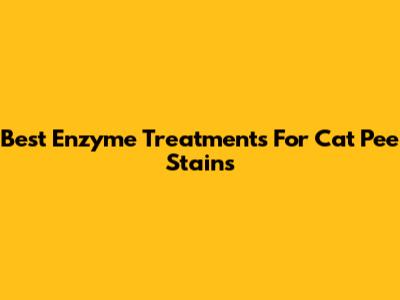 Best Enzyme Treatments For Cat Pee Stains