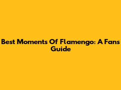 Best Moments Of Flamengo: A Fan's Guide