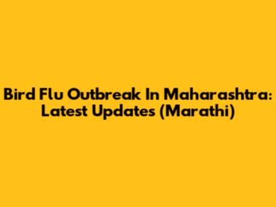 Bird Flu Outbreak In Maharashtra: Latest Updates (Marathi)