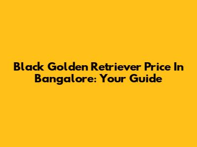 Black Golden Retriever Price In Bangalore: Your Guide