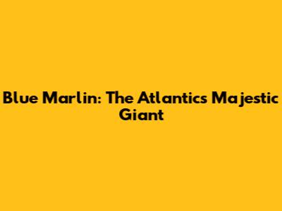 Blue Marlin: The Atlantic's Majestic Giant