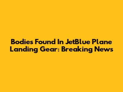 Bodies Found In JetBlue Plane Landing Gear: Breaking News