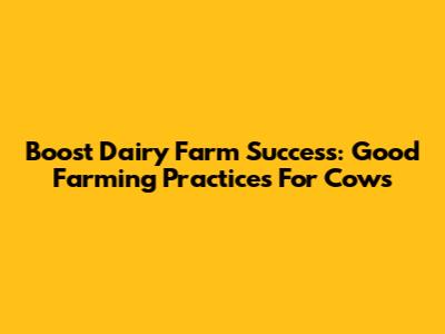Boost Dairy Farm Success: Good Farming Practices For Cows