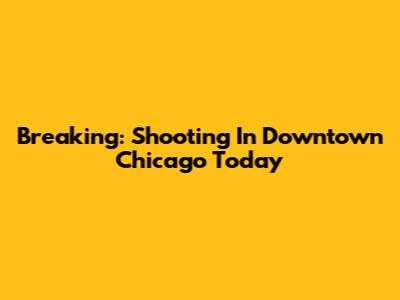 Breaking: Shooting In Downtown Chicago Today