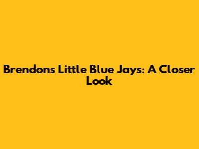 Brendon's Little Blue Jays: A Closer Look