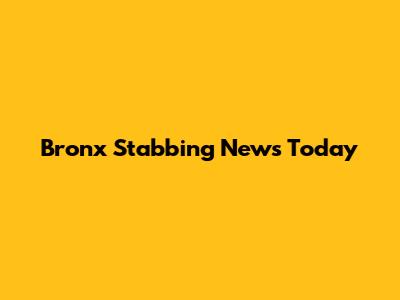 Bronx Stabbing News Today