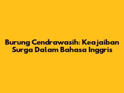 Burung Cendrawasih: Keajaiban Surga Dalam Bahasa Inggris