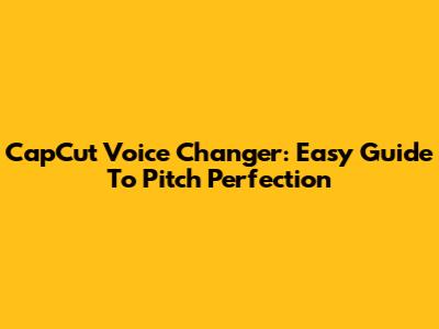 CapCut Voice Changer: Easy Guide To Pitch Perfection
