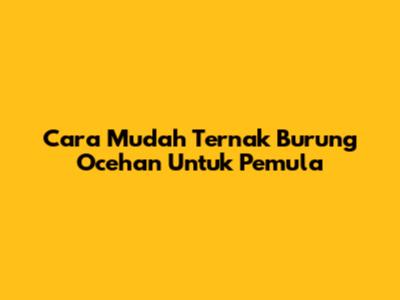 Cara Mudah Ternak Burung Ocehan Untuk Pemula