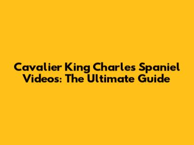 Cavalier King Charles Spaniel Videos: The Ultimate Guide