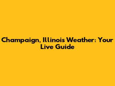 Champaign, Illinois Weather: Your Live Guide
