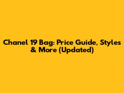Chanel 19 Bag: Price Guide, Styles & More (Updated)