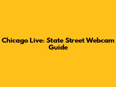 Chicago Live: State Street Webcam Guide