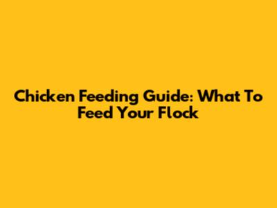 Chicken Feeding Guide: What To Feed Your Flock
