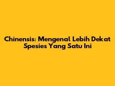 Chinensis: Mengenal Lebih Dekat Spesies Yang Satu Ini