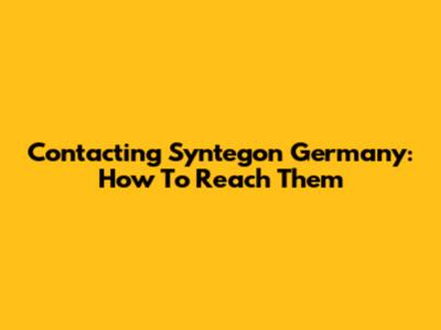 Contacting Syntegon Germany: How To Reach Them
