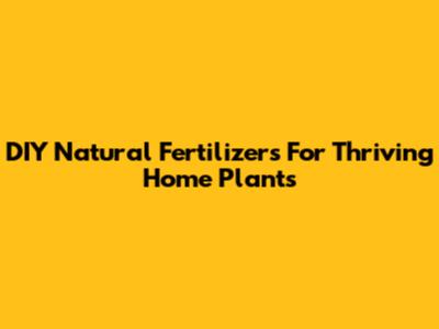 DIY Natural Fertilizers For Thriving Home Plants