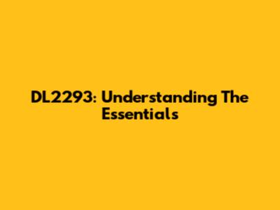 DL2293: Understanding The Essentials