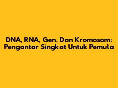 DNA, RNA, Gen, Dan Kromosom: Pengantar Singkat Untuk Pemula