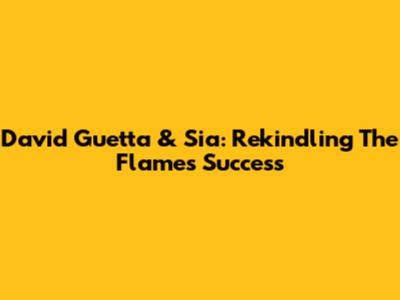 David Guetta & Sia: Rekindling The "Flames" Success
