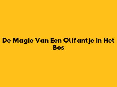 De Magie Van Een Olifantje In Het Bos