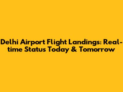 Delhi Airport Flight Landings: Real-time Status Today & Tomorrow