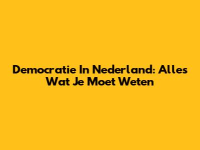 Democratie In Nederland: Alles Wat Je Moet Weten