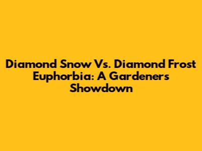 Diamond Snow Vs. Diamond Frost Euphorbia: A Gardener's Showdown
