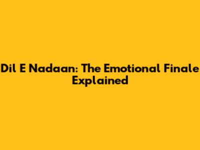 Dil E Nadaan: The Emotional Finale Explained
