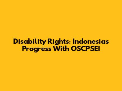 Disability Rights: Indonesia's Progress With OSCPSEI