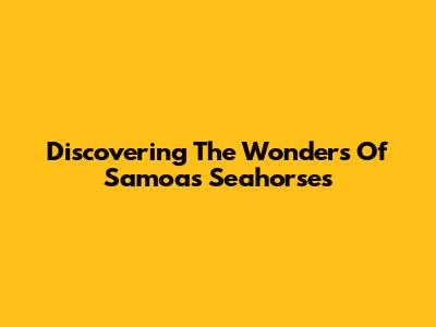 Discovering The Wonders Of Samoa's Seahorses